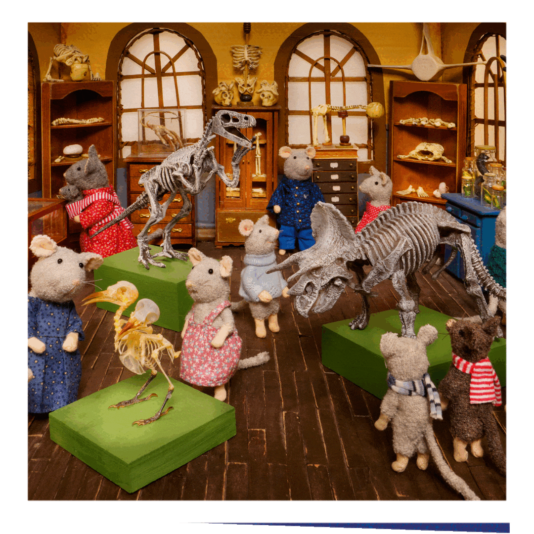 afbeeldingen-het-museum.gif__PID:b826c9dc-f77c-4f89-a384-e6e1d579da3f