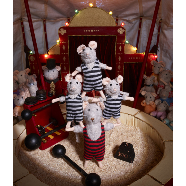 Pack: De Viatge amb la Júlia al Circ