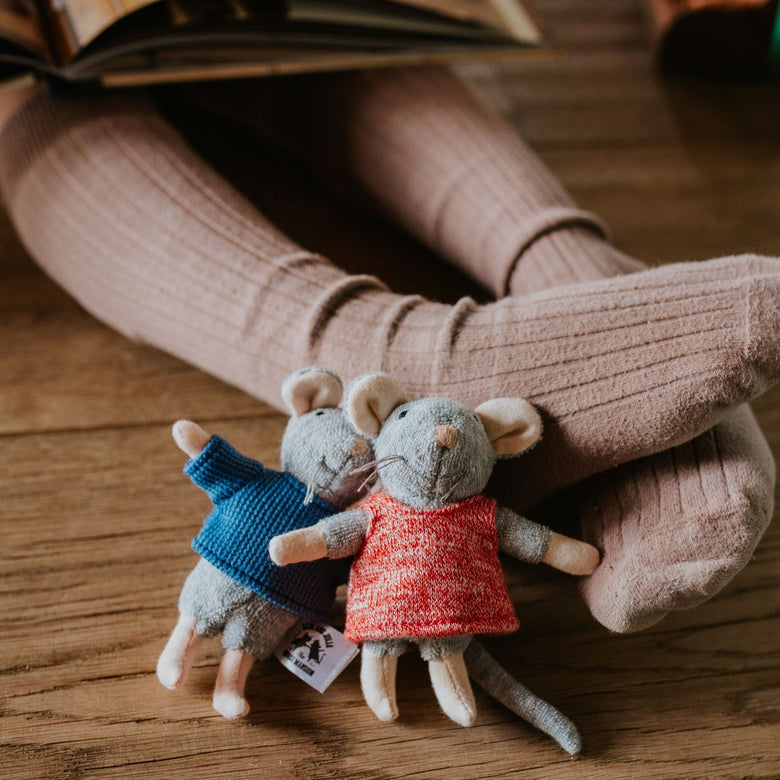 Pack – Descobreix La Casa dels Ratolins