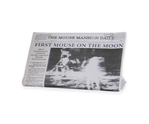 Decoración papel - Dormitorio y salón