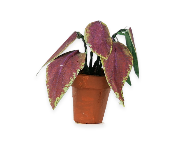 Decoración papel - Dormitorio y salón